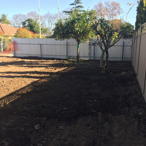 Asbestos removal contractor near me