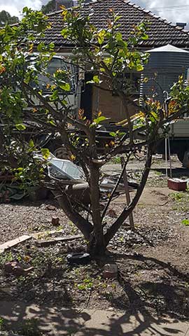 House demolition cost adelaide